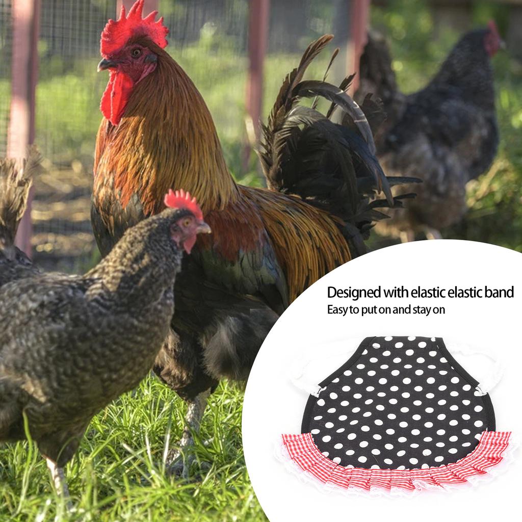 Hühnersattel Hennen-Schürze Vater Fixierer Flügelrücken-Schutz Hennen-Schürze mit elastischen Trägern