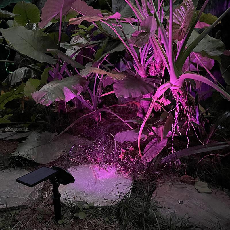 Solar 9-LED Garden Spotlight