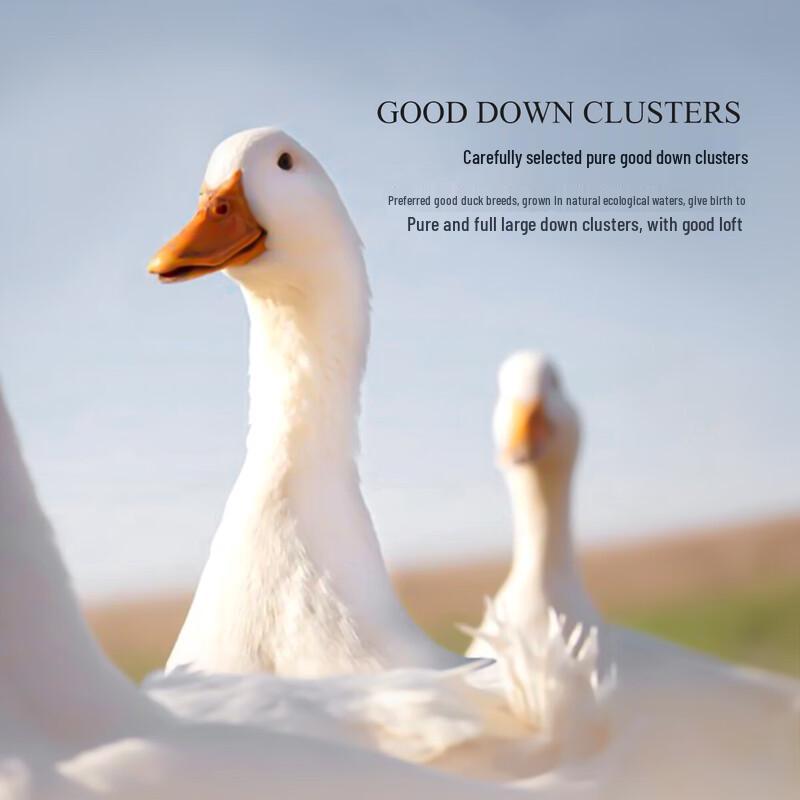 Mercure Anti-Leak 90% White Duck Down Winter Quilt