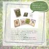 In a Tin Fairy Tale Lenormand Lenormand Cards with Japanese Instruction FLATLAND Authentic [Presented Case] Booklet. Product.