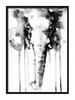 Picture Poster In a Frame 33x43 Cm Elephant P554