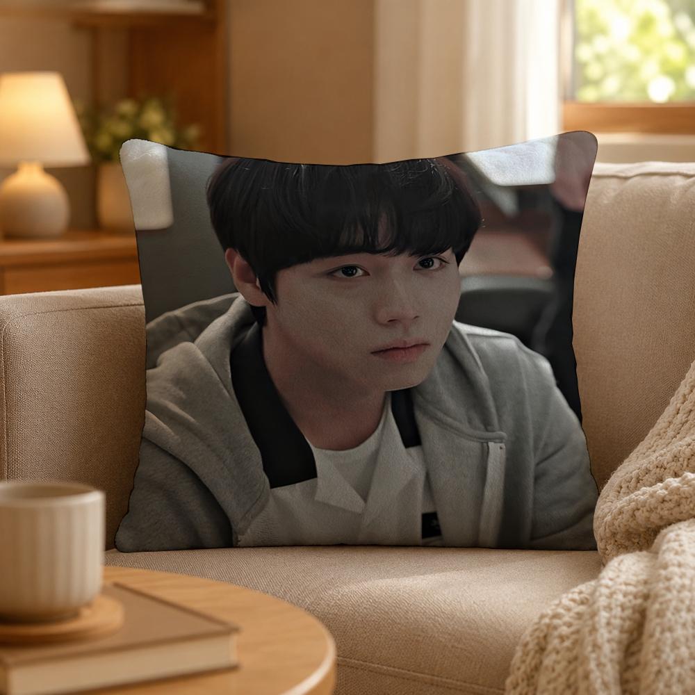 Series Weak Hero Class One Cushion Cover Personalized Short Plush Cushion Cover Sofa Pillowcase Bedroom Home Decor Gift
