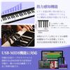 TERENCE X88D Digital Piano, 88 Keys, Foldable, 10W Dual Speaker Output, Acoustic Piano Size, Dual Tones, Metronome, Recording, MIDI Functions, Recharg