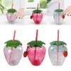 10 Pieces Cartoon Water Bottles with Lid Leakproof 500ml Fruit Drinking Cup for Party Supplies Camping Hawaiian Outdoor Birthday