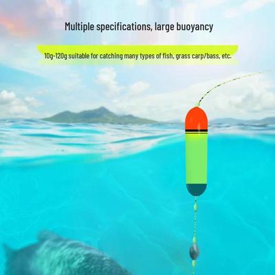 Zhongtong Long-Distance Casting Floats for Carp and Sea Bass Fishing