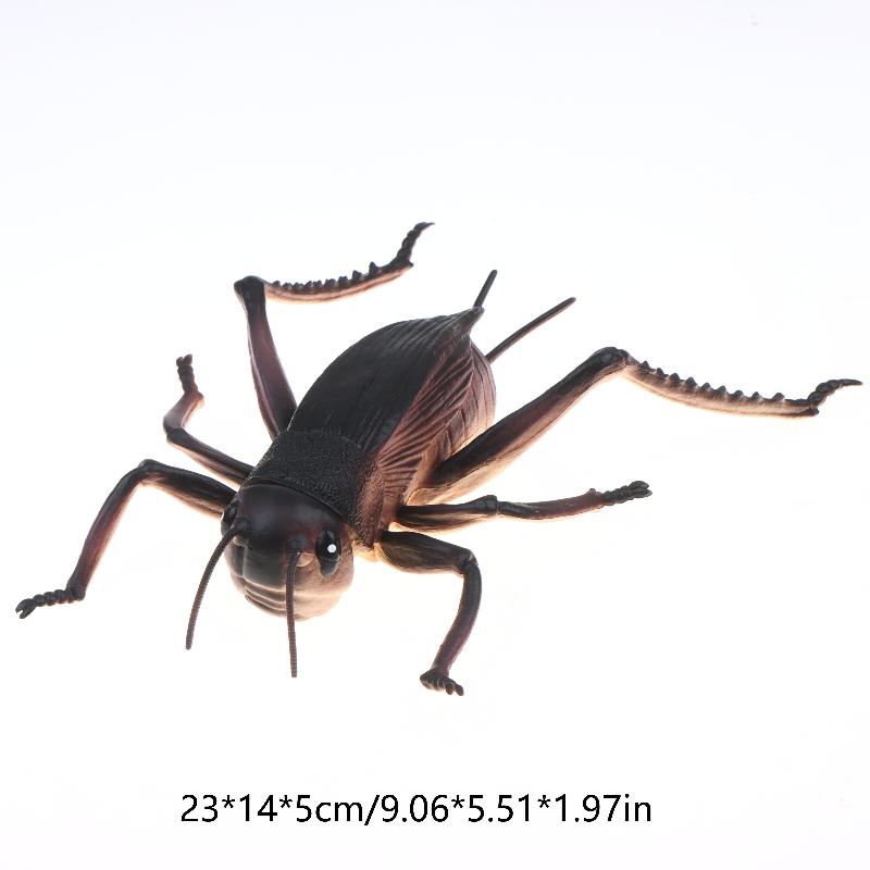 17Cm Realistic Insect Animal Model Toys Ant Spider Scorpion Beetle Dragonfly Simulation Figures For Kid Educational Learning Toy
