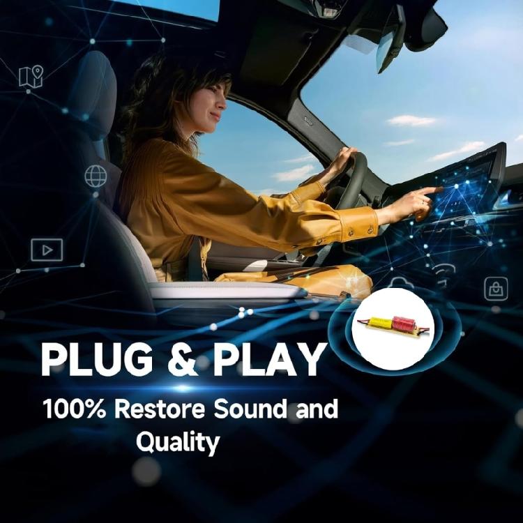 2 Way High Low Frequency SplitterDivider Board for Car Sound Systems with Improved Sound Claritys