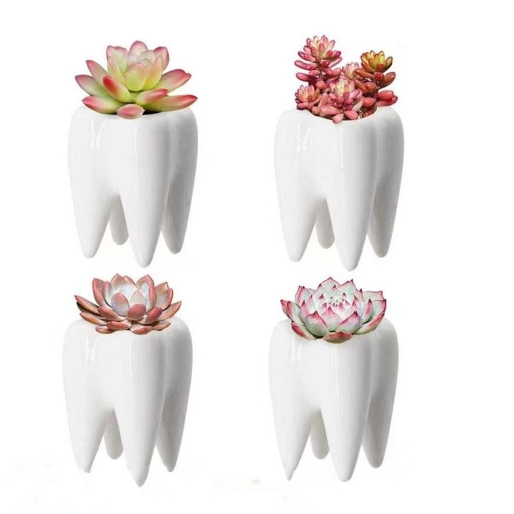 

Home Decoration Cactus Flower Pot Ceramic Plant Growth Container Modern Bonsai Flowerpot