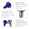 YUWENW Car License Plate Bolts Titanium M6 Anti-Theft Screws License Plate Frame Titanium Alloy Set of 4 (Rainbow)