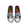 Nike Dunk Low GS Dance Çocuk Spor Ayakkabıları Çok Renkli Summit-White Light-Armory-Blue FJ2686-100