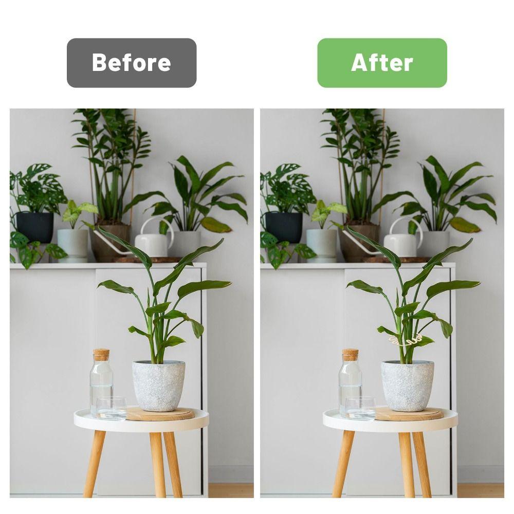 1/2PCS Support Branches Turtle Shell Bamboo Clamp Plant Stem Support Holder  for Flower Lovers