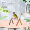 Bird Training Stand Colorful Acrylic Sheet Rough Surfaced Corundum Desktop   Training Stand for  s Pet Birds