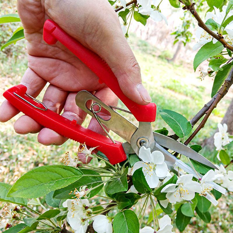 Double-Edged Stainless Steel Garden Pruning Shears for Thinning Flowers, Vegetables, and Fruit Branches