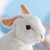 Cute Simulation Rabbit Plush Toy Baby Sleep Comfort Dolls Lovely Rabbit For Kids Girls Easter Bunny Gifts Christmas Birthday