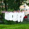 with 12 Clips Clothesline Colorful Drying Elastic Rope Multi-functional Travel Clothesline  Outdoor