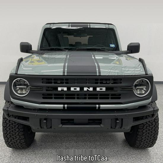 Bronco Wild Horse Car Hood & Pinstripe Stickers for Decoration & Modification