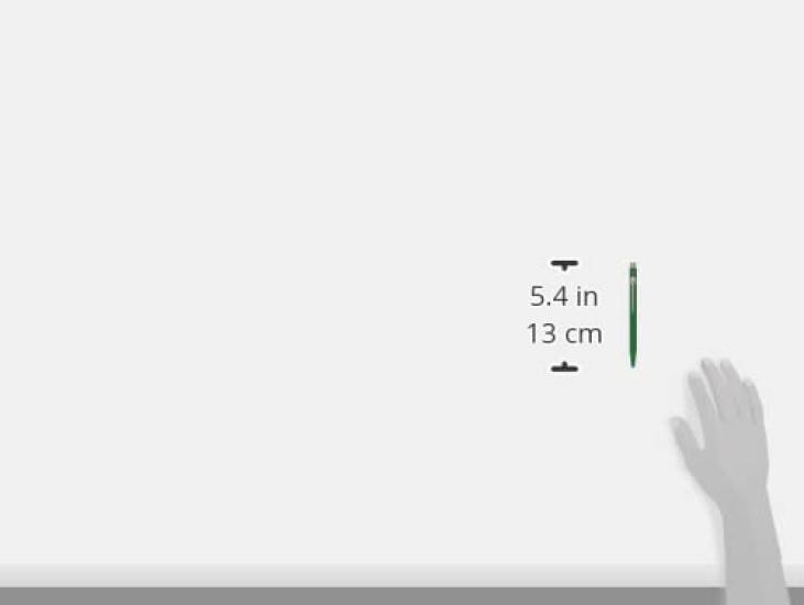 CARAN Ballpoint 849 Classic Official Import D'ACHE Pen, Oil-Based, Line, Green, NF0849-210,