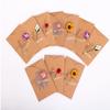 10Pcs DIY Greeting Cards Invitation Greeting Card Kraft Paper Dry Flower Envelope  Birthday