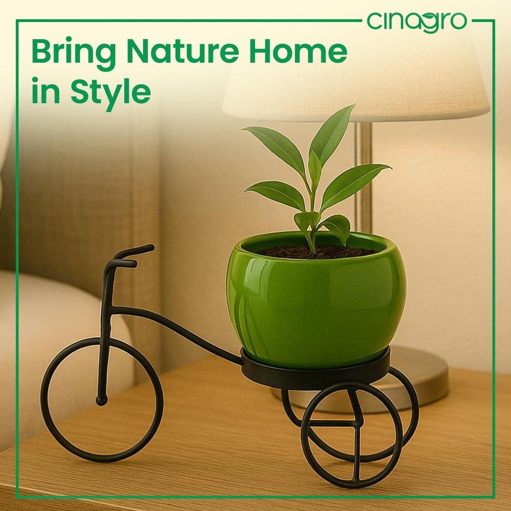 Cycle-Shaped Metal Plant Stand for Indoor & Outdoor Use, Metal Cycle Flower Vase, Decorative Iron Planter Pot Holder for Flowers