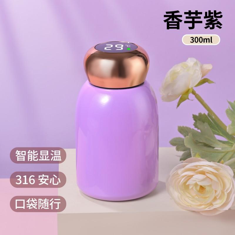 Stainless Steel Vacuum Insulated Travel Mug 300ml Portable Mini Cup Women Men Kids Office Outdoor