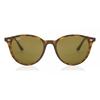 Ray Ban Rb4305 710 73 Unisex Sunglasses