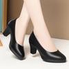 Autumn Black Soft Leather Soft-soled Leather Shoes Comfortable Shoes High Heels Dress Single Shoes
