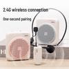 Deli LT900 Portable Voice Amplifier (CN version)
