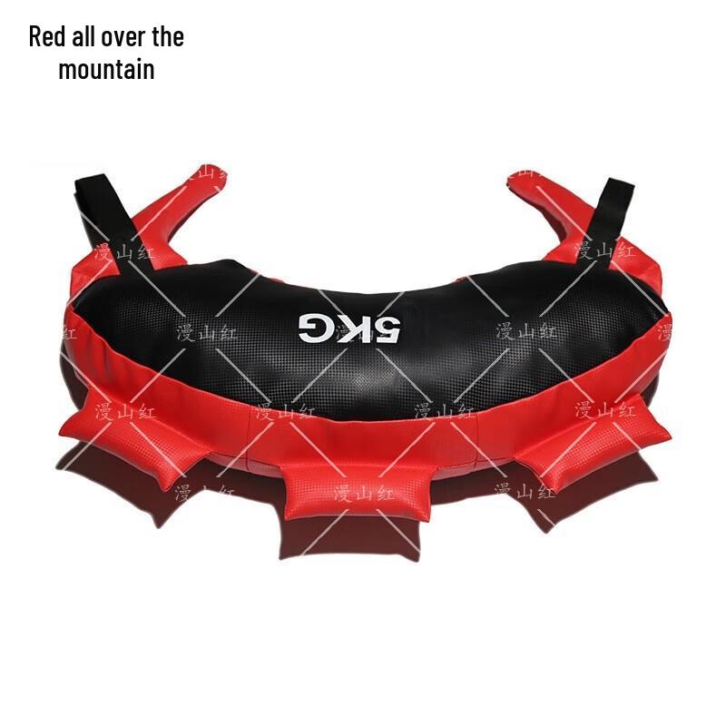 Bulgarian Bag Training Weight Bag