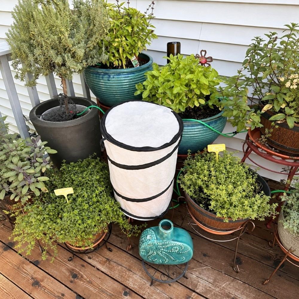 Pop Up Design Pop Up Plant Frost Cover Foldable Winter Plant Protection Garden Use
