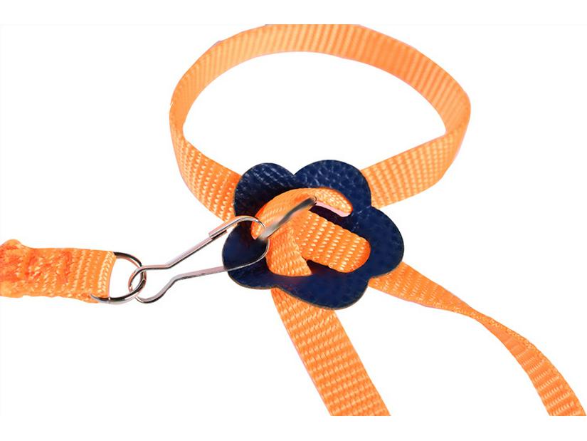 Geschirr für das Spazierengehen mit Haustieren für mehrere Arten: Verstellbarer 8-förmiger Traktionsgurt für Vögel, Hamster, Schildkröten und Eidechsen