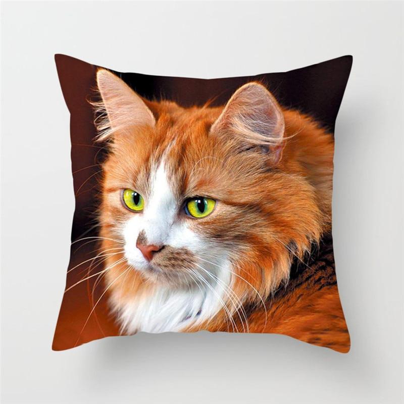 cat cushion covers