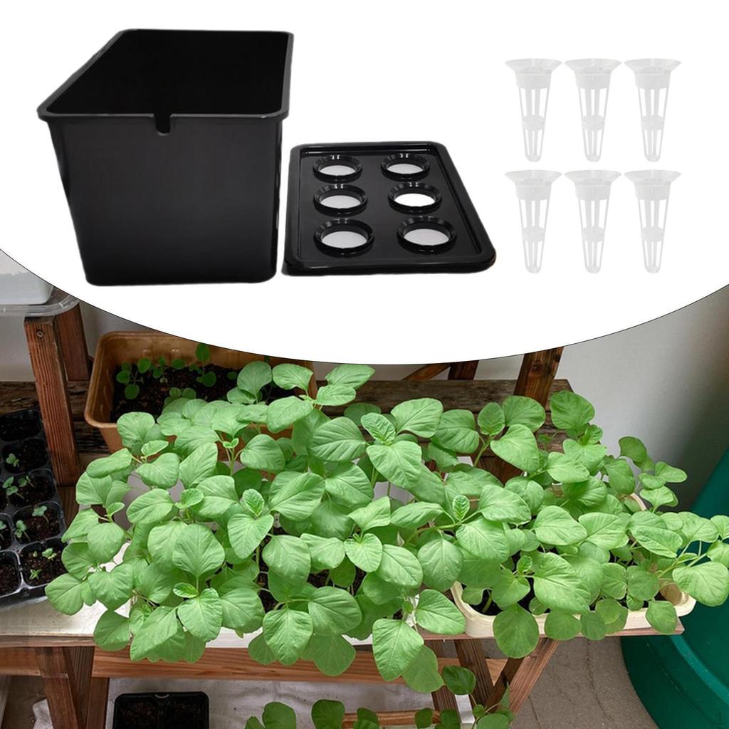 Hydroponic Cultivation System, Device, Wear-resistant Planting Container