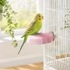 Bird Toy for Climbing and Play - Stand for Small Birds