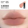 Lip Lacquer Chestnut Color Fashion Matte Cement Gray Black Rabbit