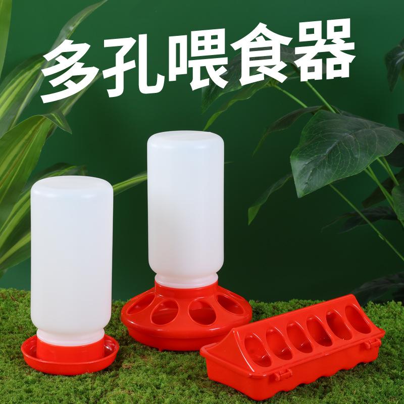 Chicken Trough Small Automatic Waterer Quail Feed Feeder Rutin Chicken Trough Chicken Automatic Feeder