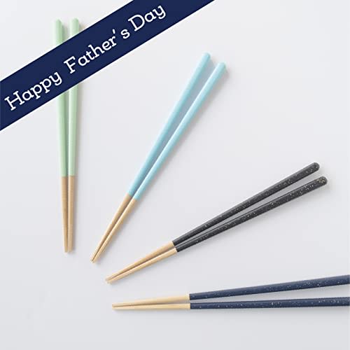 [Featured on TV] Fujiei (FUJIEI) Truly Non-Slip Chopsticks, Adult Size 23cm, Premium Granite Green, Lacquered by Artisans, Made in Japan, Dishwasher S