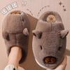 Heel Cotton Slippers 2025 New Autumn and Winter Indoor Home Plush Warm Non-slip Outer Wear Cotton Mop