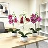 Butterfly Orchid Artificial Plant Home Decor With Plastic Leaves For Living Room And Office