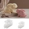 Food Grade Moulds Silicone Rabbit Mold Silicone Texture Perfect for Decorations Crafting and Holiday Party Supplies