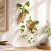 Home Ornaments Wall Mounted Planter Vase Flower Pot Wall Shelf Planter Holder  Plant Lovers