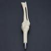 Creative Ball Point Pen Bone Shape Nurse Doctor Student Teacher Stationery Gift