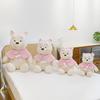 Pink Pooh Cape Bear Plush Toy Cartoon Stuffed Doll Room Decoration Kids Gift