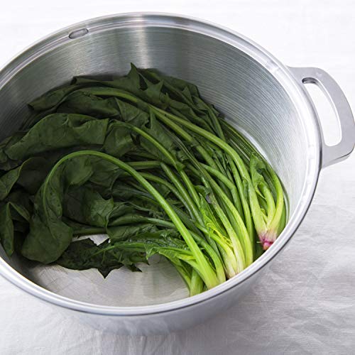 HAL Musui KING vattenfri kruka (R) 20 Tvåhandad Gryta 20cm Vattenfri Matlagning 8 Funktioner i 1 Gryta Tillverkad i Japan 600033