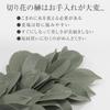 Comolife Sakaki Trees for Shinto Altars (2 Bunches) - Artificial Sakaki Flowers, 34cm Long, Wired, Adjustable Height, Never Withers, Realistic