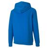 Puma Unisex Erwachsenen TeamGoal 23 Casuals Kapuzenjacke