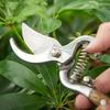 1pc, Wooden Handle Pruning Shears, Fruit Branch Scissors, Elbow Shears, Garden Shears, Fruit Picking Shears 8.07inch/20.5cm