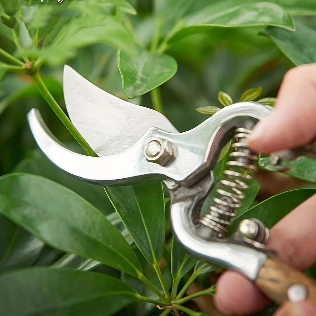 1pc, Wooden Handle Pruning Shears, Fruit Branch Scissors, Elbow Shears, Garden Shears, Fruit Picking Shears 8.07inch/20.5cm
