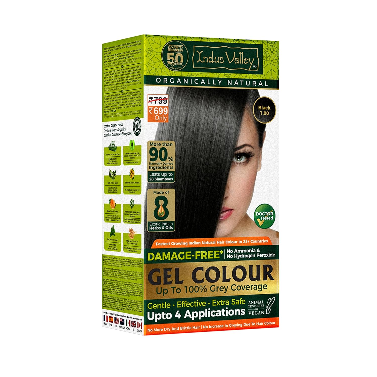INDUS VALLEY Natural Gel Hair Colour for Women Black 1.00-220 ml, Ammonia & PPD Free,100% Grey Coverage, Long Lasting Conditioning Hair Color 220 ML