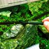 Steel Wire Brush Aquarium Algae Cleaning Brush Nylon Brush Aquarium Cleaner Fish Tank Stain Cleaning Tools Accessories 3pcs/pack