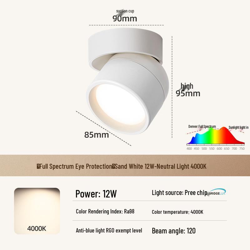 Adjustable Rotatable Surface-Mounted Downlight for Living Room, Aisle, Entrance, Bedroom - No Main Light Required